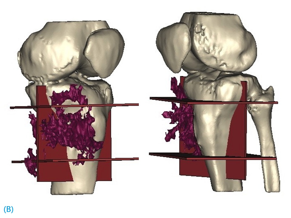 Figure 3B